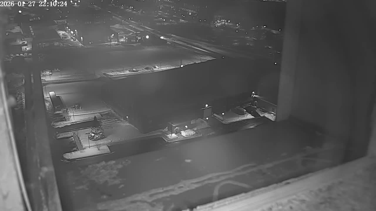 New Hampshire , Manchester City Skyline & Falcons Life Live Cam 2 - Manchester, Hillsborough, New Hampshire, USA