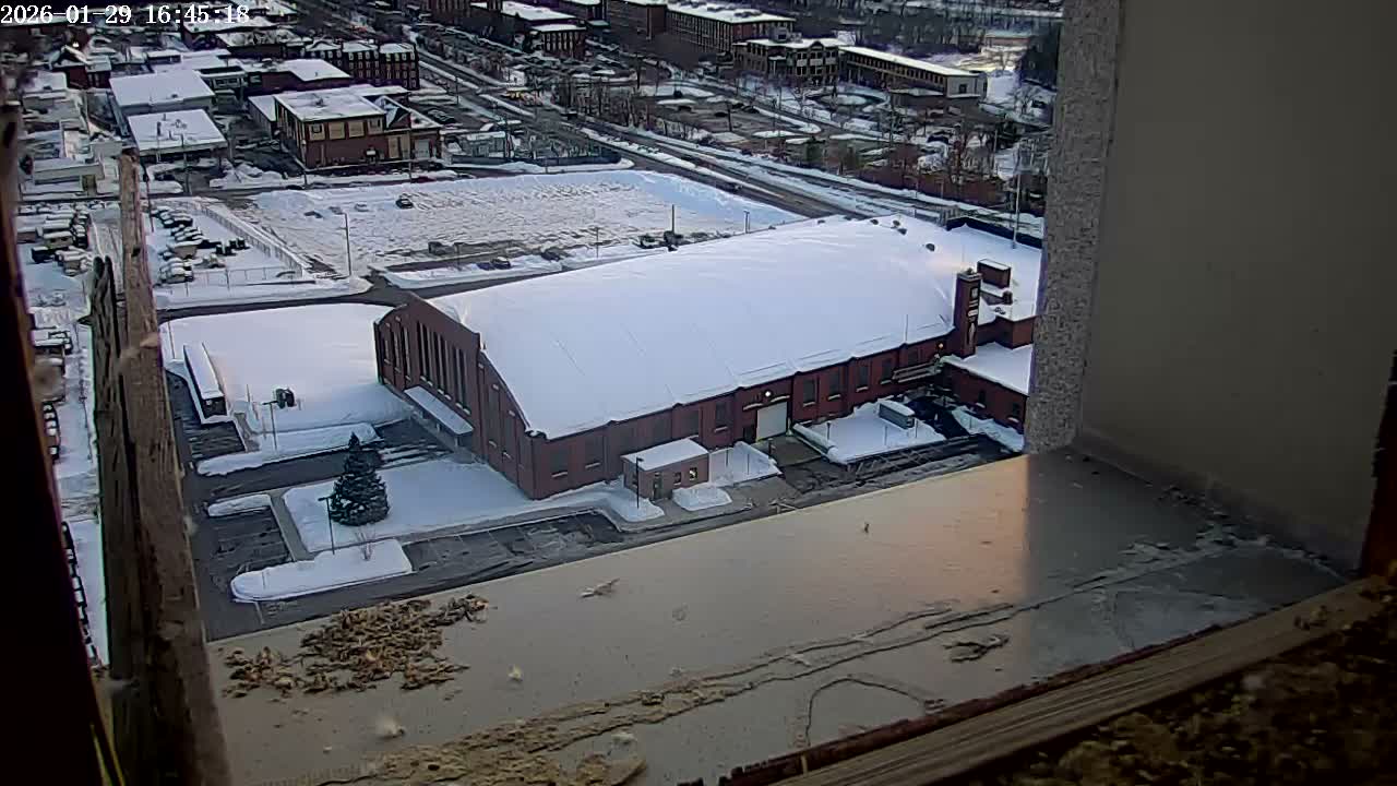 New Hampshire , Manchester City Skyline & Falcons Life Live Cam 2 - Manchester, Hillsborough, New Hampshire, USA