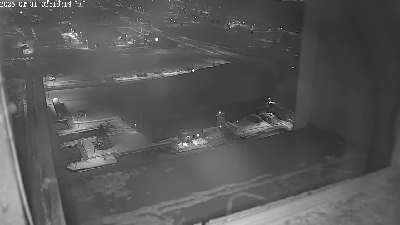New Hampshire , Manchester City Skyline & Falcons Life Live Cam 2 - Manchester, Hillsborough, New Hampshire, USA