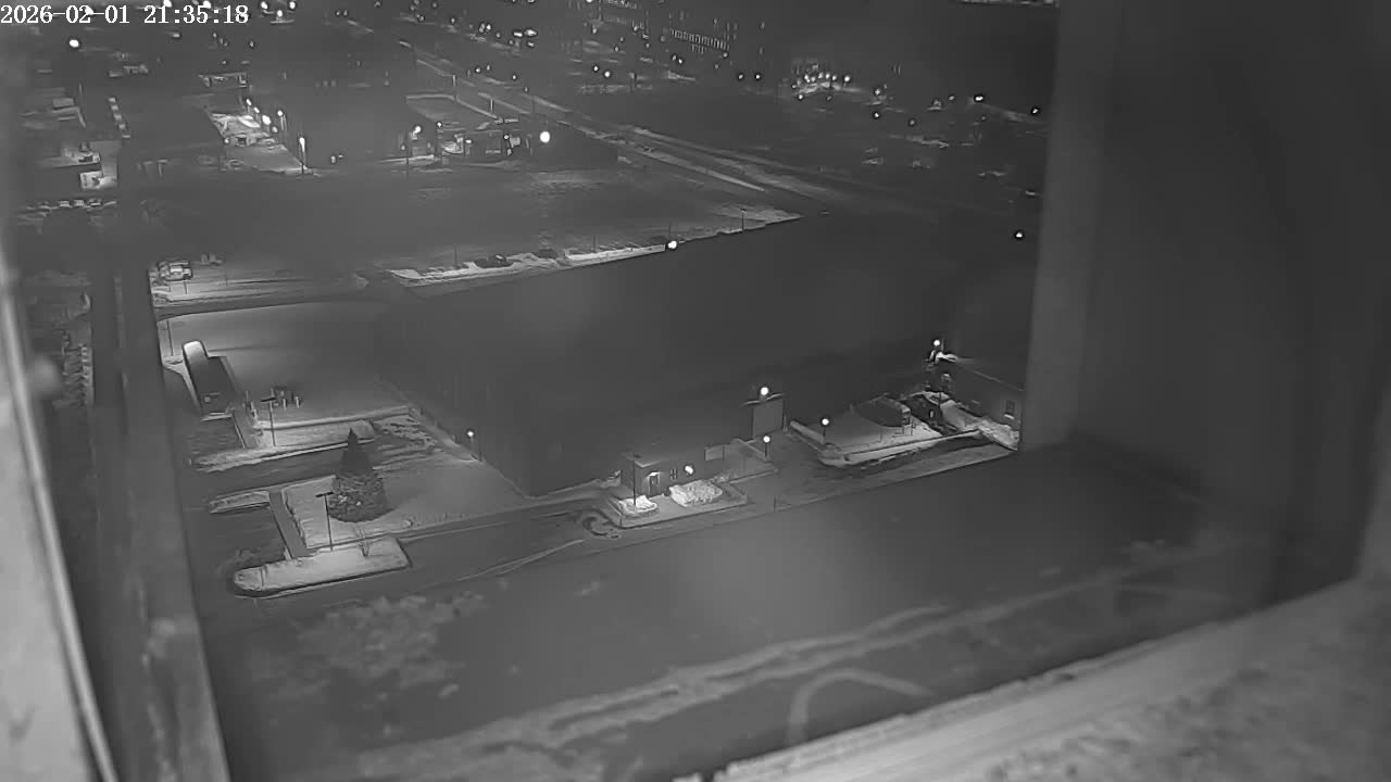 New Hampshire , Manchester City Skyline & Falcons Life Live Cam 2 - Manchester, Hillsborough, New Hampshire, USA