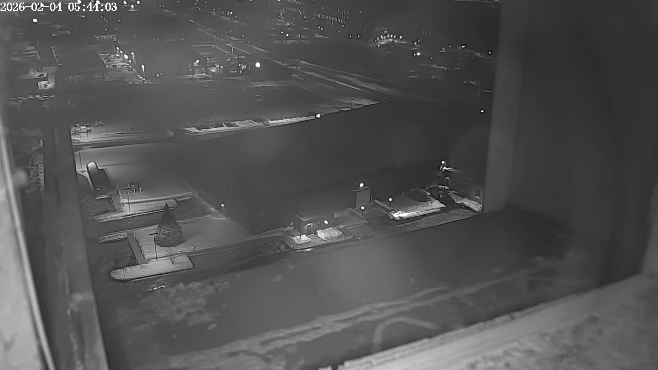New Hampshire , Manchester City Skyline & Falcons Life Live Cam 2 - Manchester, Hillsborough, New Hampshire, USA