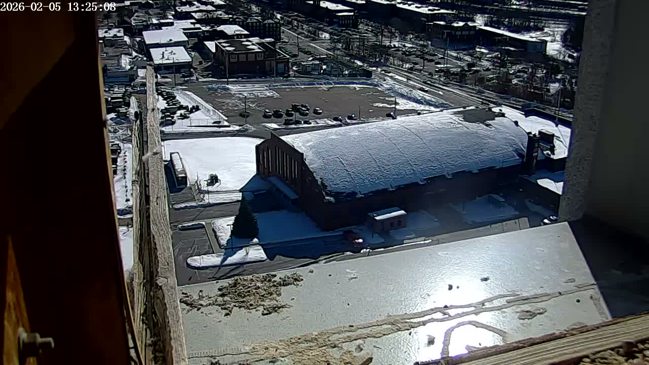 New Hampshire , Manchester City Skyline & Falcons Life Live Cam 2 - Manchester, Hillsborough, New Hampshire, USA