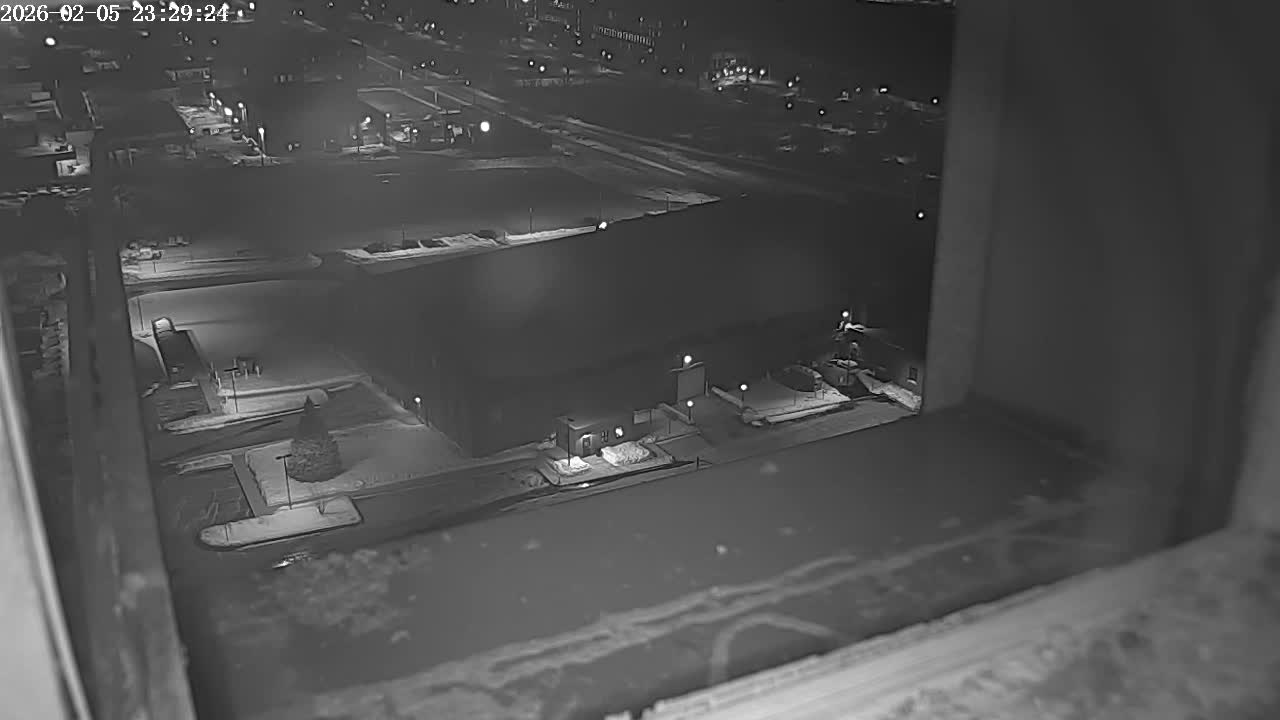 New Hampshire , Manchester City Skyline & Falcons Life Live Cam 2 - Manchester, Hillsborough, New Hampshire, USA