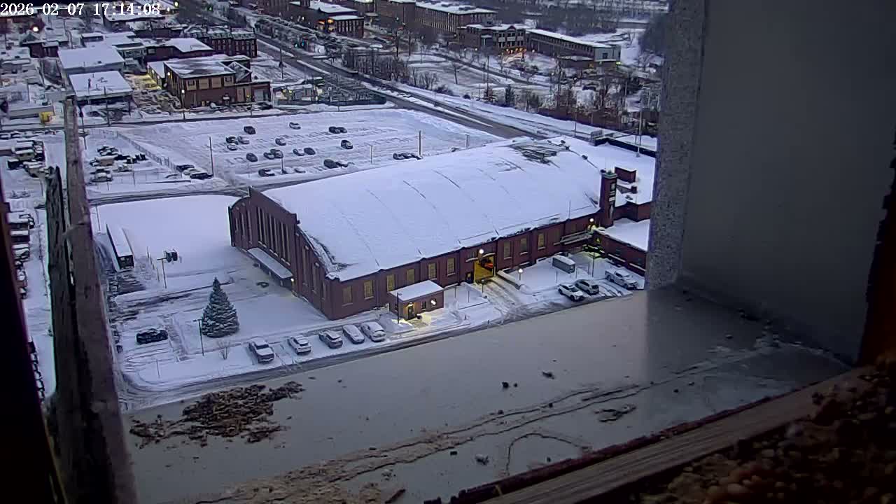 New Hampshire , Manchester City Skyline & Falcons Life Live Cam 2 - Manchester, Hillsborough, New Hampshire, USA