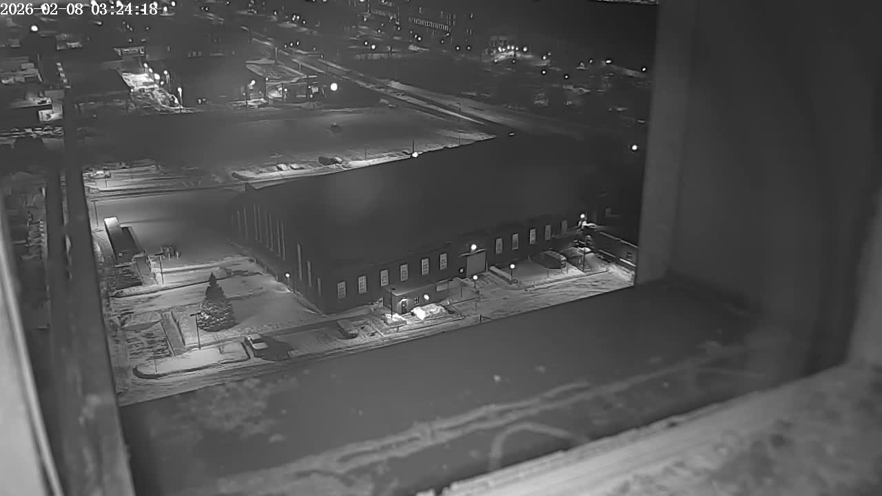 New Hampshire , Manchester City Skyline & Falcons Life Live Cam 2 - Manchester, Hillsborough, New Hampshire, USA