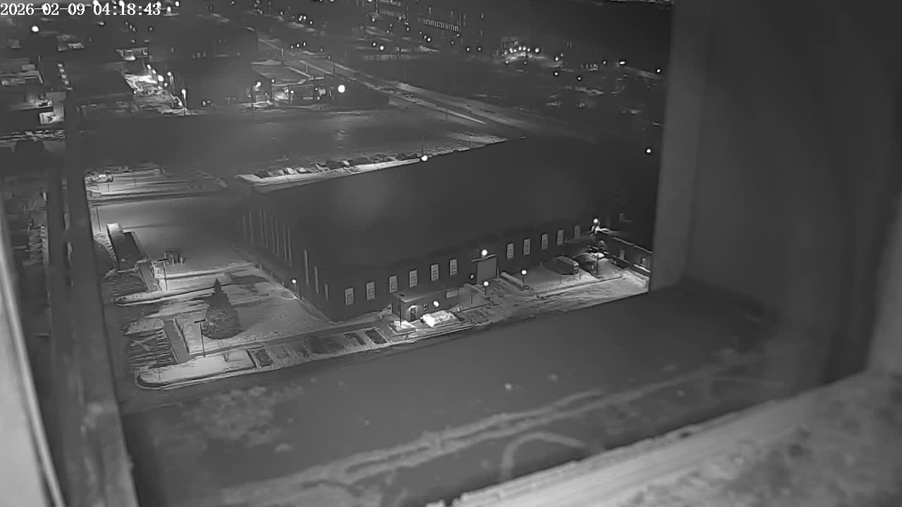 New Hampshire , Manchester City Skyline & Falcons Life Live Cam 2 - Manchester, Hillsborough, New Hampshire, USA