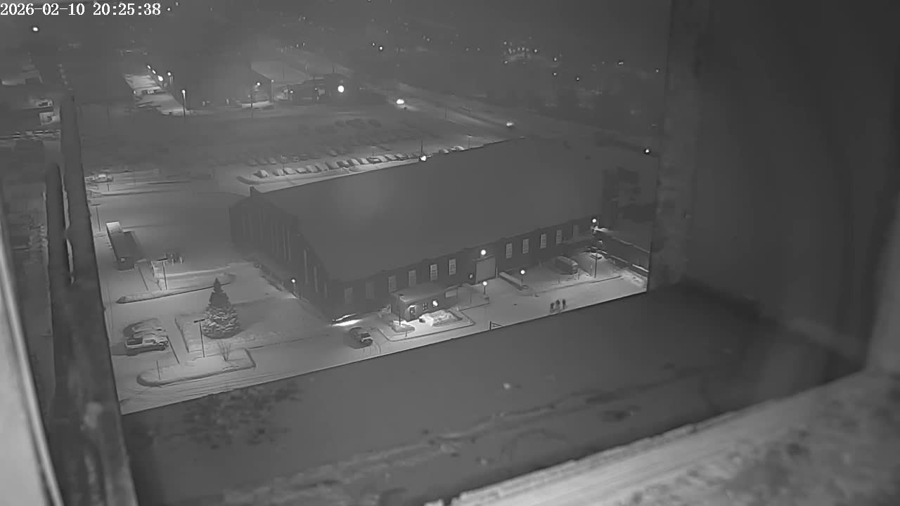 New Hampshire , Manchester City Skyline & Falcons Life Live Cam 2 - Manchester, Hillsborough, New Hampshire, USA