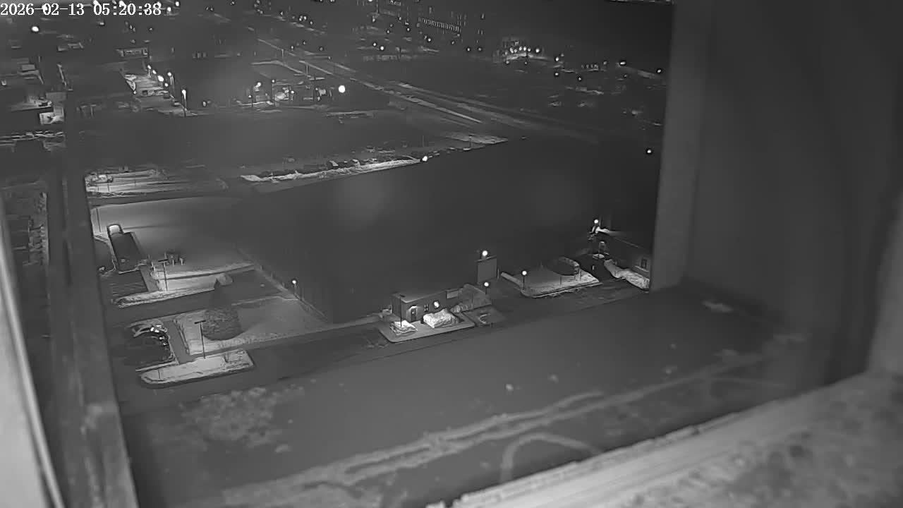 New Hampshire , Manchester City Skyline & Falcons Life Live Cam 2 - Manchester, Hillsborough, New Hampshire, USA