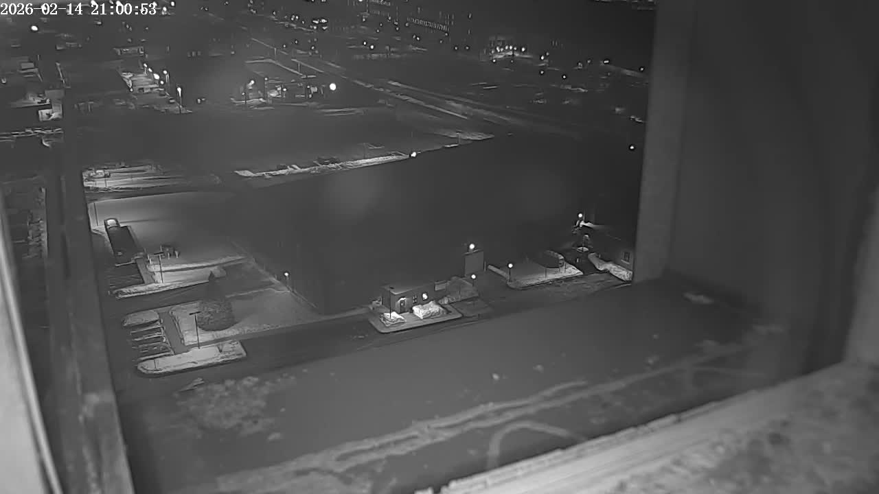 New Hampshire , Manchester City Skyline & Falcons Life Live Cam 2 - Manchester, Hillsborough, New Hampshire, USA