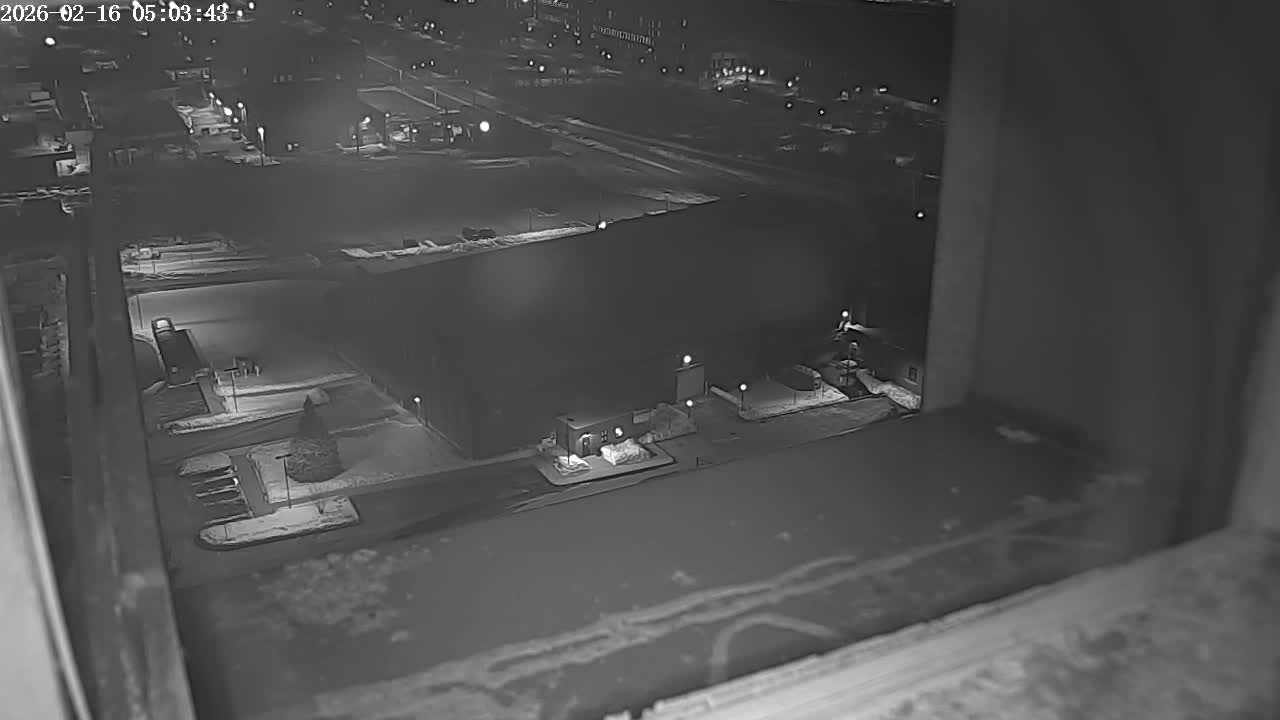 New Hampshire , Manchester City Skyline & Falcons Life Live Cam 2 - Manchester, Hillsborough, New Hampshire, USA