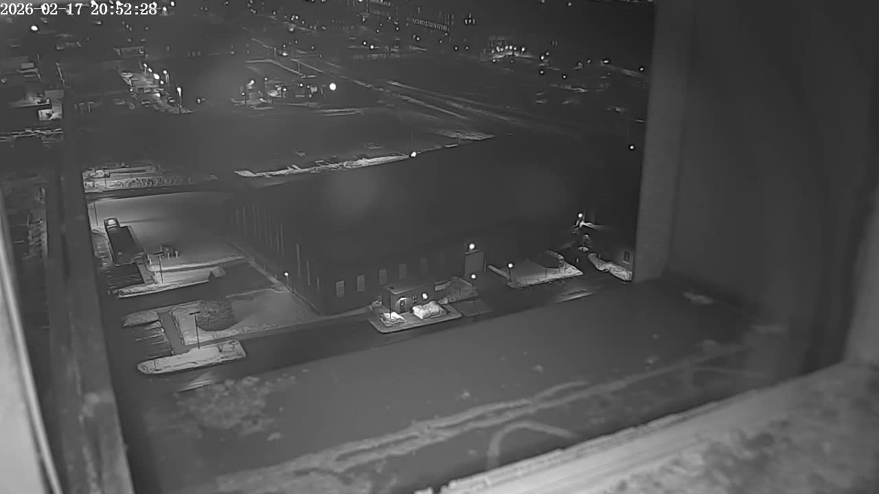 New Hampshire , Manchester City Skyline & Falcons Life Live Cam 2 - Manchester, Hillsborough, New Hampshire, USA