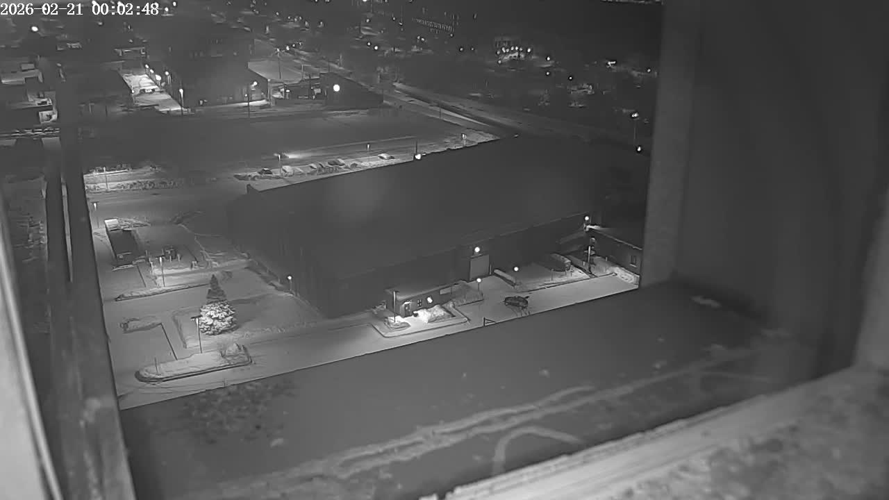 New Hampshire , Manchester City Skyline & Falcons Life Live Cam 2 - Manchester, Hillsborough, New Hampshire, USA