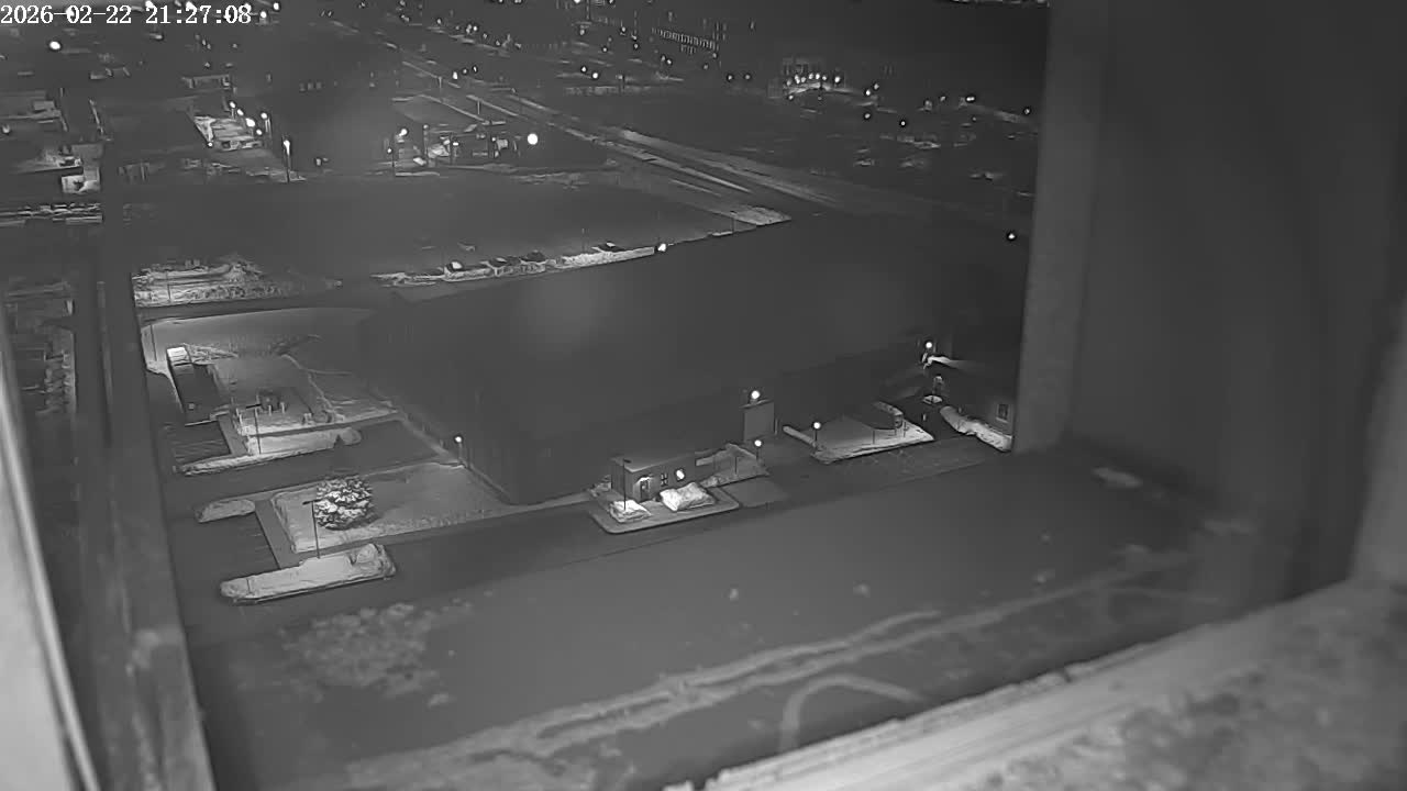New Hampshire , Manchester City Skyline & Falcons Life Live Cam 2 - Manchester, Hillsborough, New Hampshire, USA