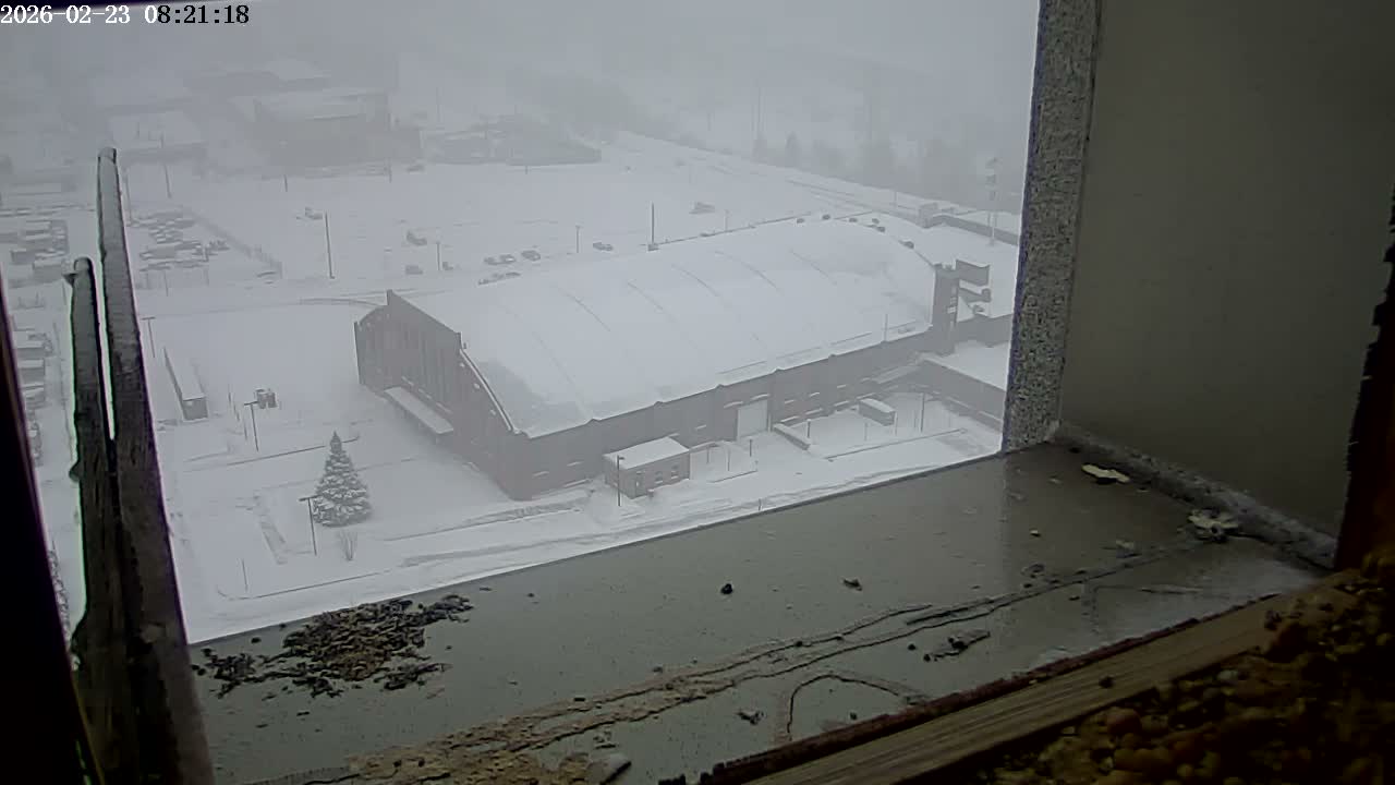 New Hampshire , Manchester City Skyline & Falcons Life Live Cam 2 - Manchester, Hillsborough, New Hampshire, USA