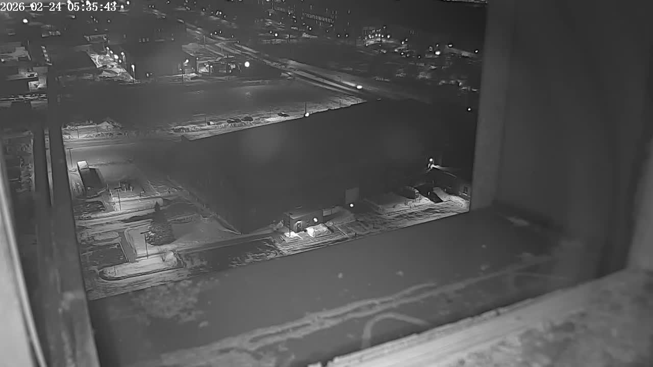 New Hampshire , Manchester City Skyline & Falcons Life Live Cam 2 - Manchester, Hillsborough, New Hampshire, USA