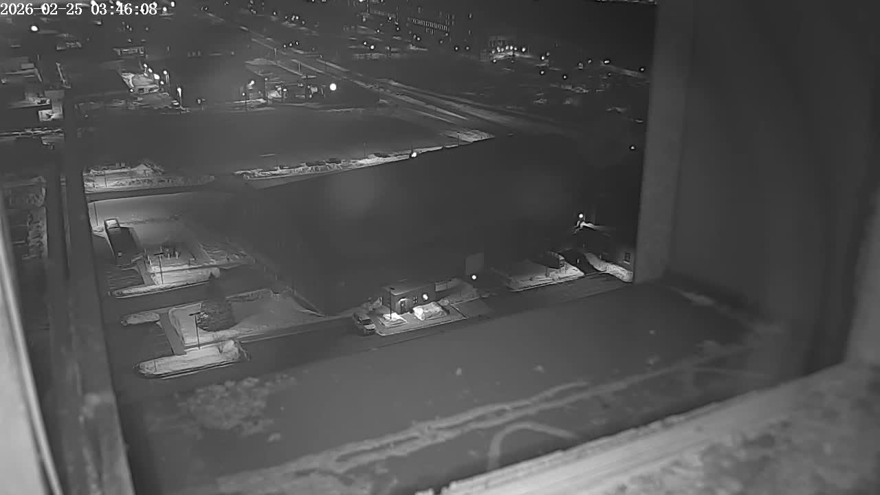 New Hampshire , Manchester City Skyline & Falcons Life Live Cam 2 - Manchester, Hillsborough, New Hampshire, USA
