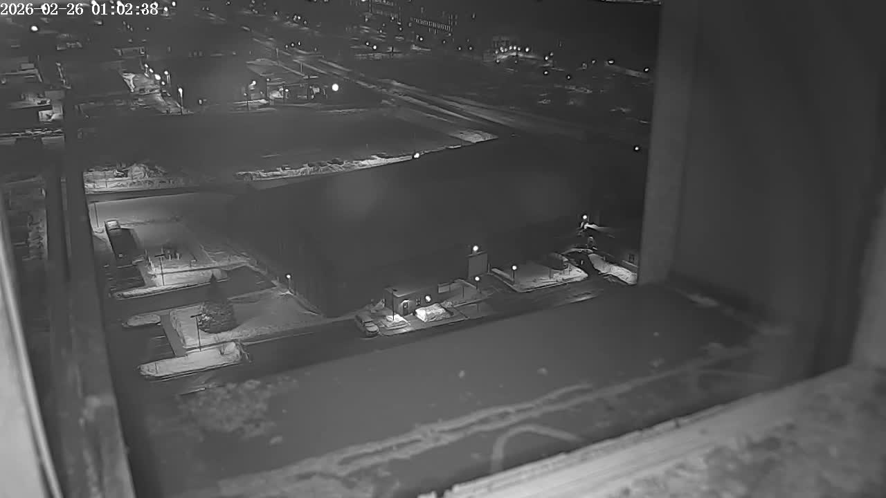 New Hampshire , Manchester City Skyline & Falcons Life Live Cam 2 - Manchester, Hillsborough, New Hampshire, USA