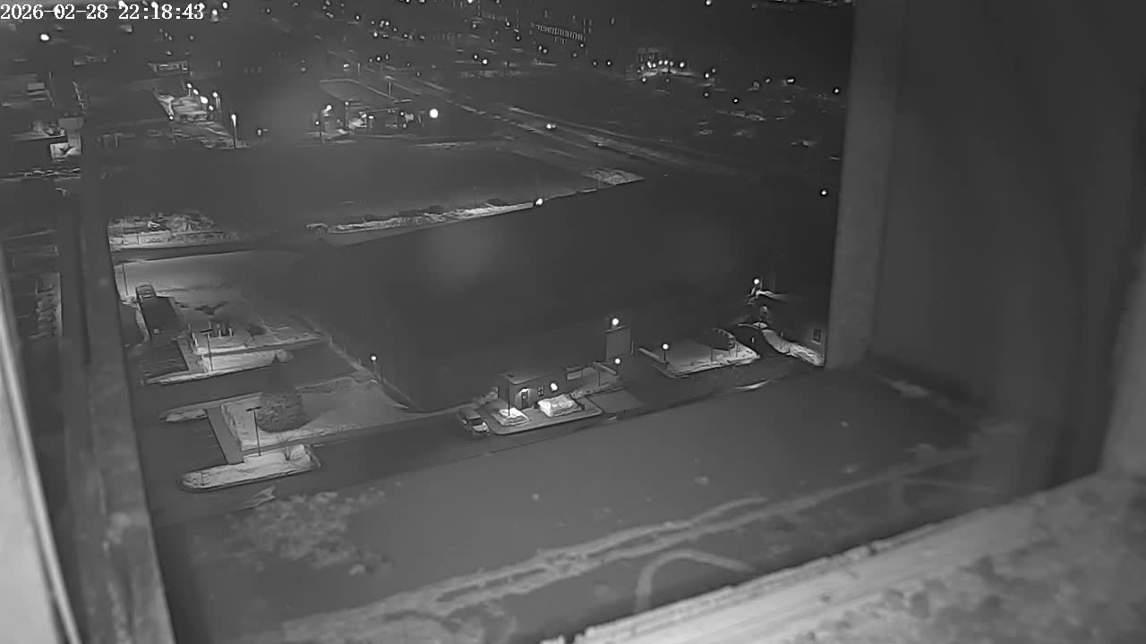 New Hampshire , Manchester City Skyline & Falcons Life Live Cam 2 - Manchester, Hillsborough, New Hampshire, USA