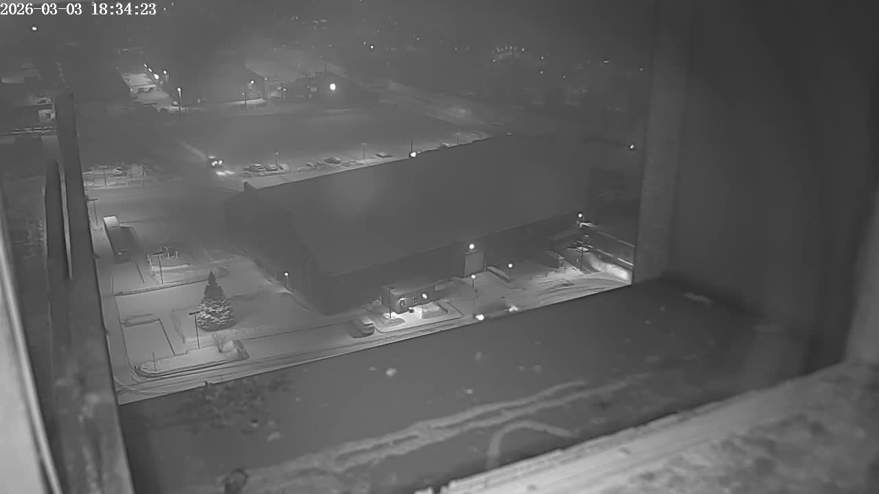 New Hampshire , Manchester City Skyline & Falcons Life Live Cam 2 - Manchester, Hillsborough, New Hampshire, USA