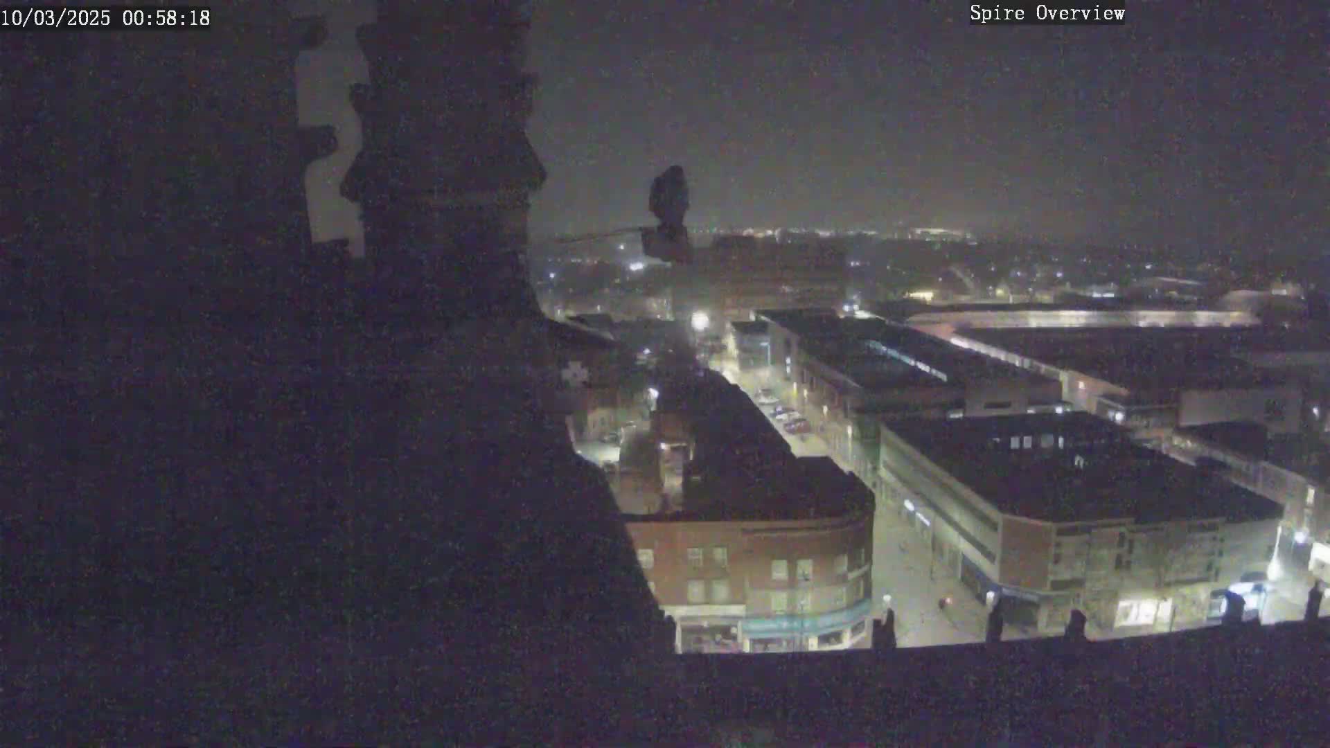 A bird perches atop a structure at night overlooking a city with dimly lit streets and buildings.