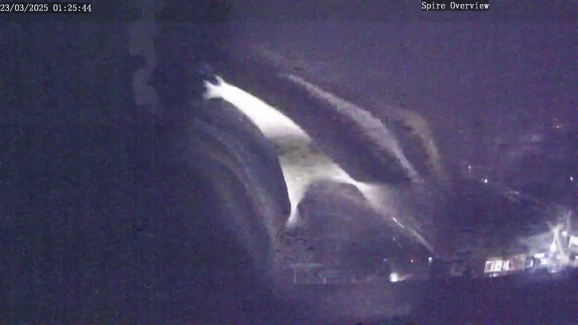 A nighttime, low-light view shows a bright white streak of what appears to be snow or ice cascading down a dark slope.
