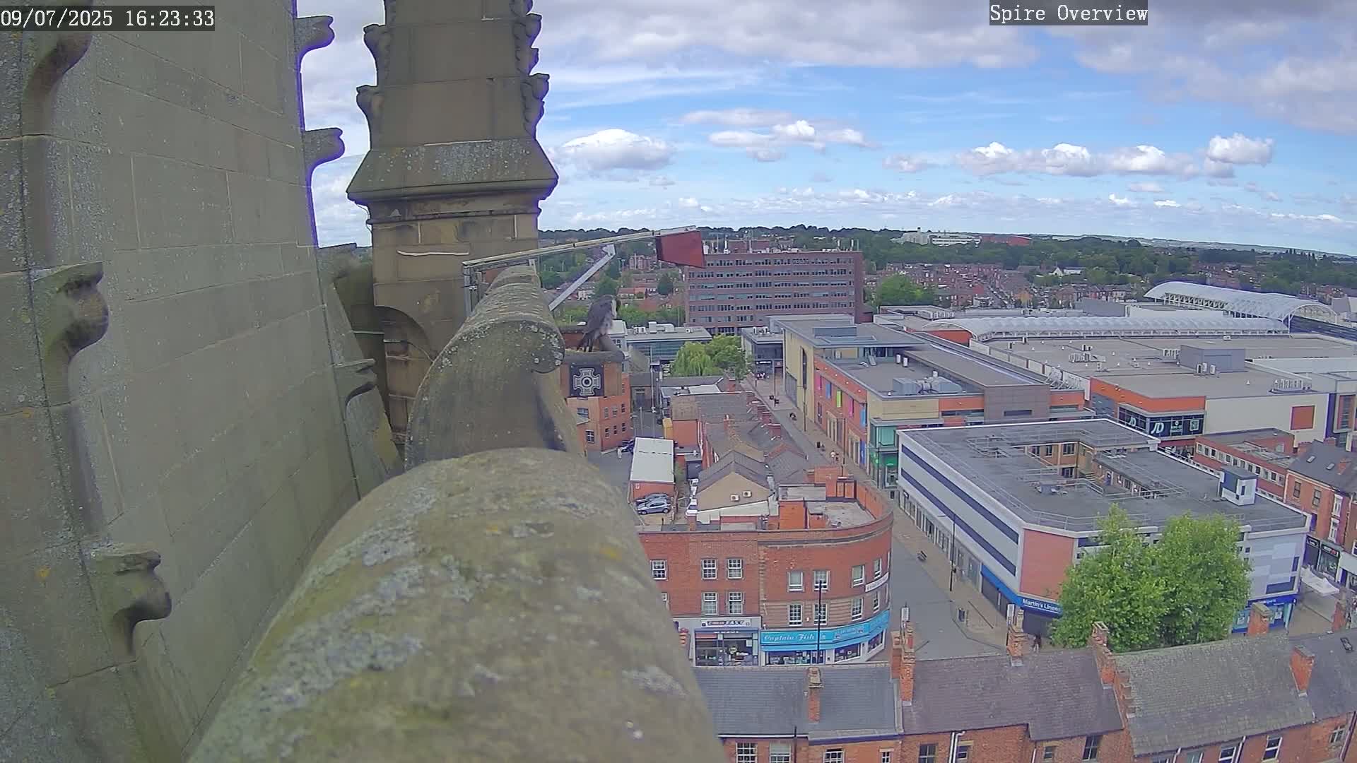 Wakefield City Skyline & Peregrine Life Project Live Cam - Wakefield, West Yorkshire, Yorkshire and the Humber, England, United Kingdom
