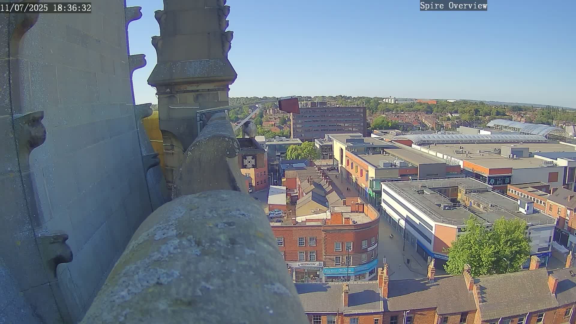 Wakefield City Skyline & Peregrine Life Project Live Cam - Wakefield, West Yorkshire, Yorkshire and the Humber, England, United Kingdom