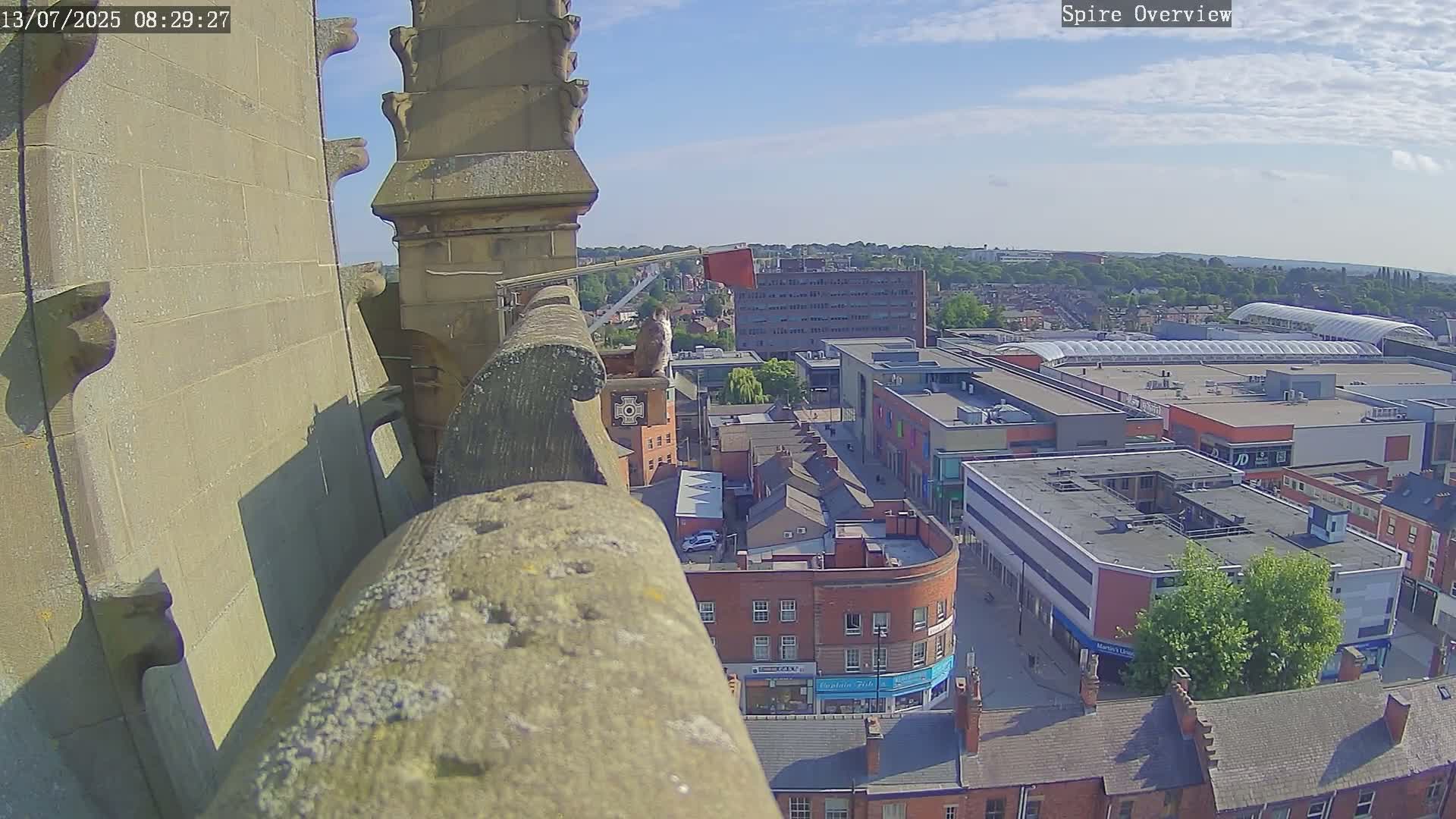 A bird perches on a stone ledge overlooking a town on a sunny day.