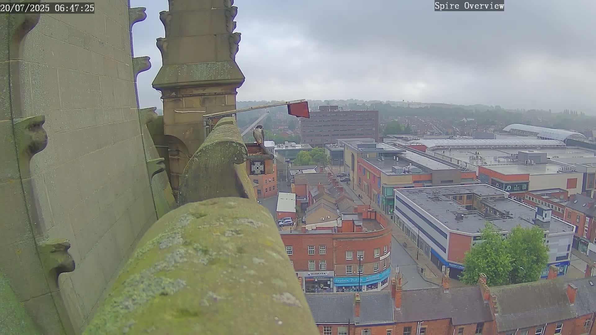 Wakefield City Skyline & Peregrine Life Project Live Cam - Wakefield, West Yorkshire, Yorkshire and the Humber, England, United Kingdom
