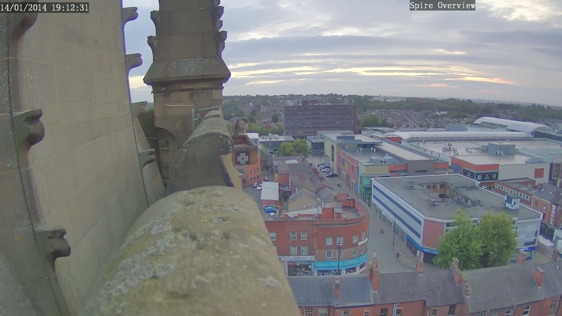 Wakefield City Skyline & Peregrine Life Project Live Cam - Wakefield, West Yorkshire, Yorkshire and the Humber, England, United Kingdom