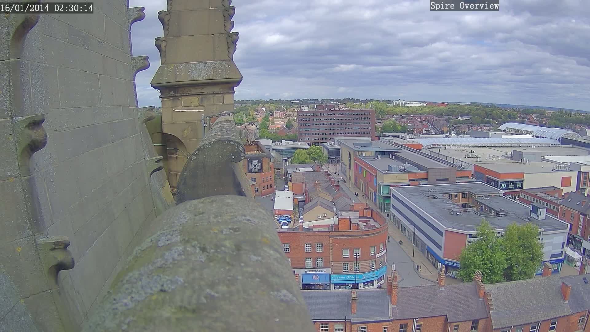 Wakefield City Skyline & Peregrine Life Project Live Cam - Wakefield, West Yorkshire, Yorkshire and the Humber, England, United Kingdom