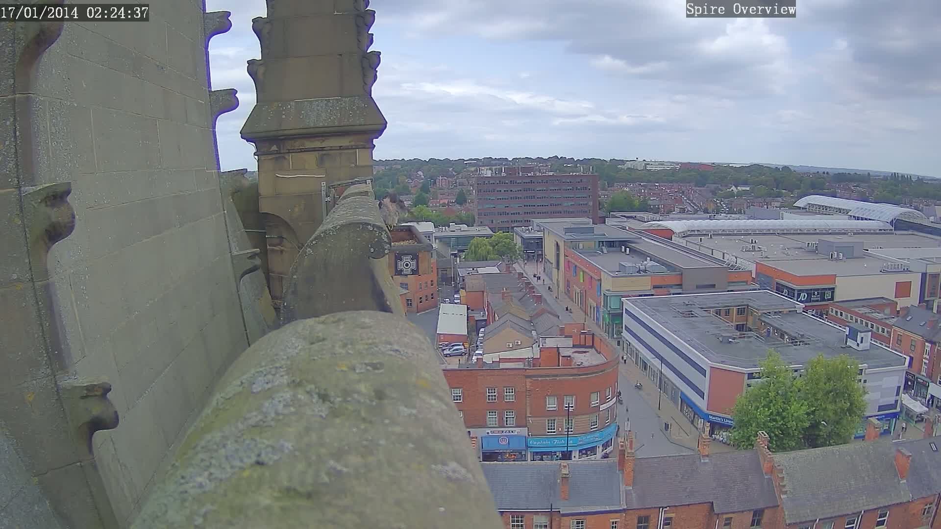 Wakefield City Skyline & Peregrine Life Project Live Cam - Wakefield, West Yorkshire, Yorkshire and the Humber, England, United Kingdom