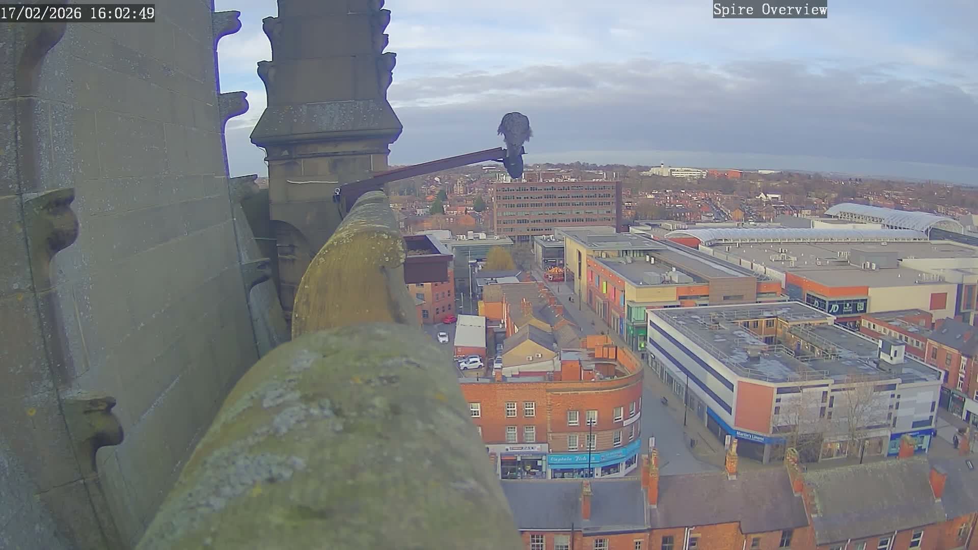 Wakefield City Skyline & Peregrine Life Project Live Cam - Wakefield, West Yorkshire, Yorkshire and the Humber, England, United Kingdom