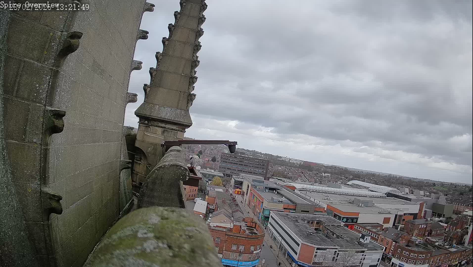 Wakefield City Skyline & Peregrine Life Project Live Cam - Wakefield, West Yorkshire, Yorkshire and the Humber, England, United Kingdom