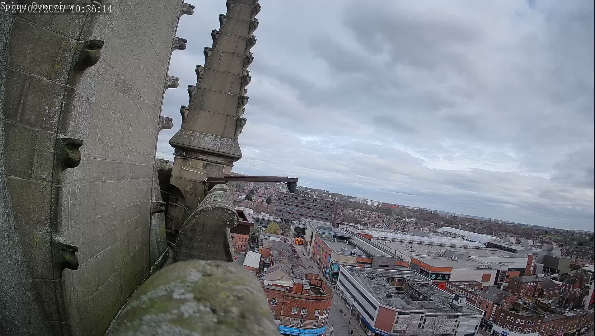 Wakefield City Skyline & Peregrine Life Project Live Cam - Wakefield, West Yorkshire, Yorkshire and the Humber, England, United Kingdom