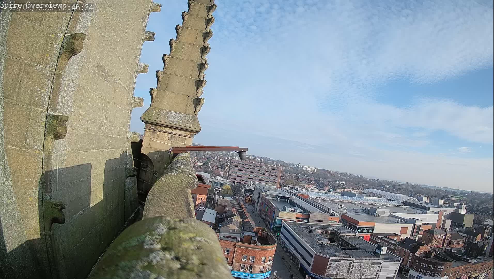 Wakefield City Skyline & Peregrine Life Project Live Cam - Wakefield, West Yorkshire, Yorkshire and the Humber, England, United Kingdom