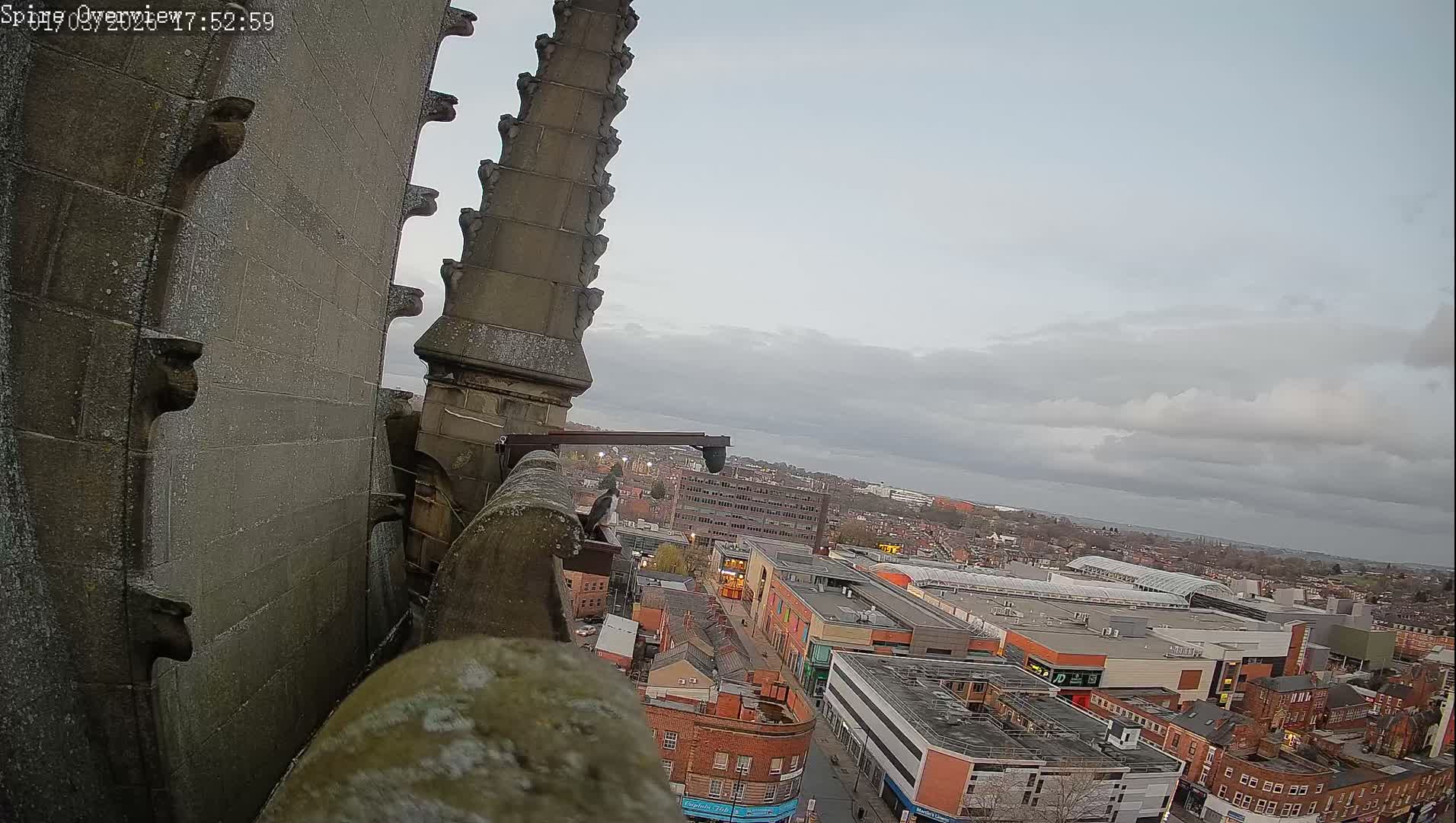 Wakefield City Skyline & Peregrine Life Project Live Cam - Wakefield, West Yorkshire, Yorkshire and the Humber, England, United Kingdom