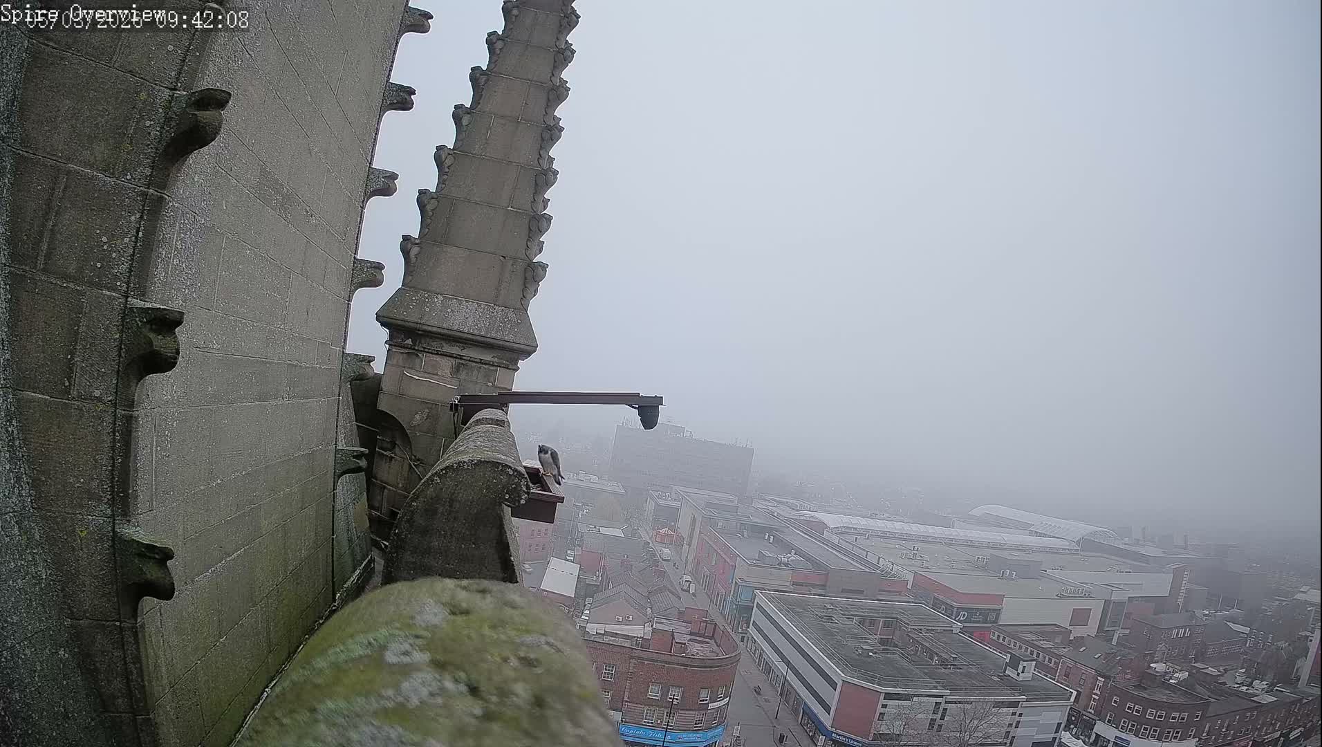 Wakefield City Skyline & Peregrine Life Project Live Cam - Wakefield, West Yorkshire, Yorkshire and the Humber, England, United Kingdom
