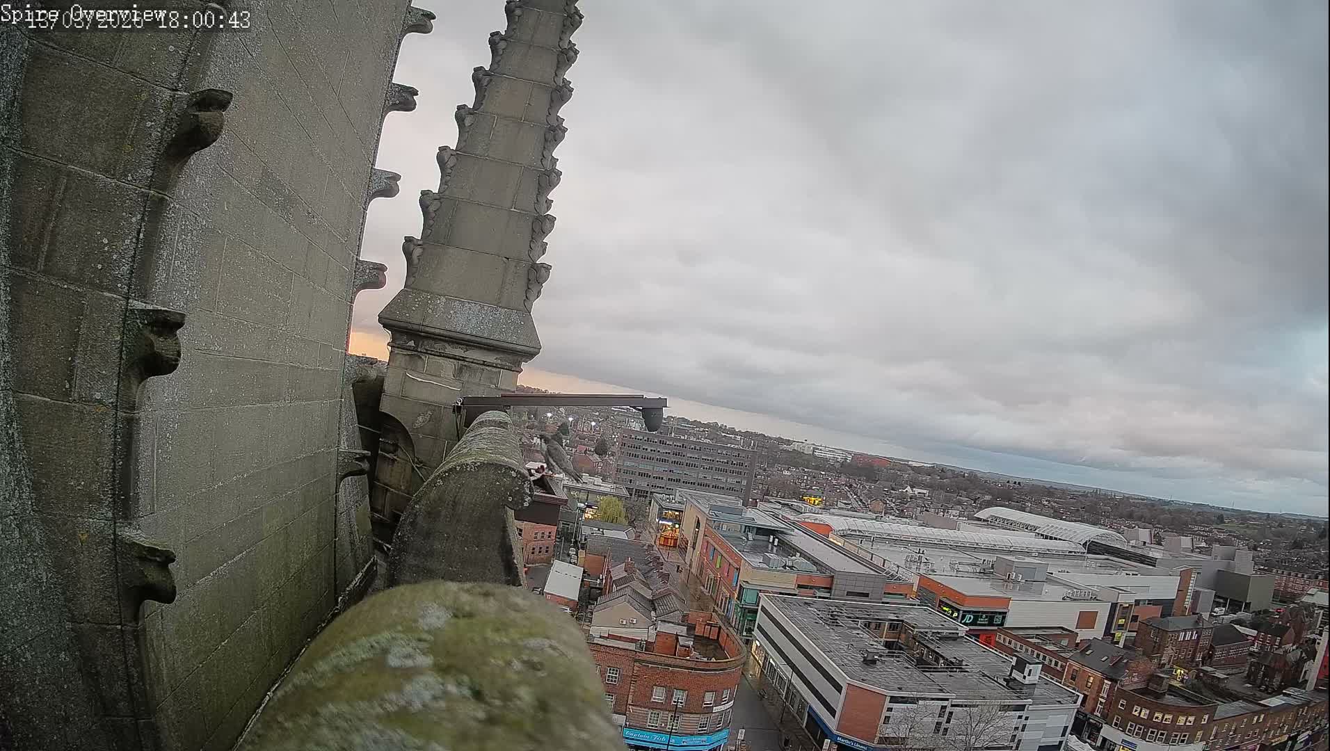 Wakefield City Skyline & Peregrine Life Project Live Cam - Wakefield, West Yorkshire, Yorkshire and the Humber, England, United Kingdom