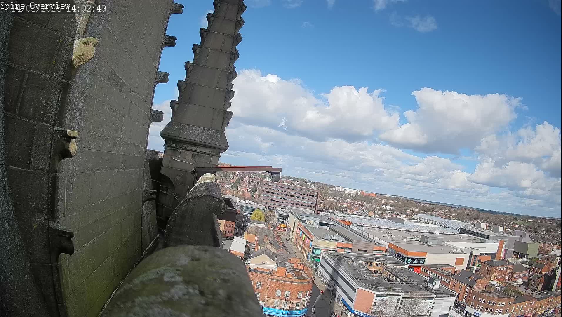 Wakefield City Skyline & Peregrine Life Project Live Cam - Wakefield, West Yorkshire, Yorkshire and the Humber, England, United Kingdom