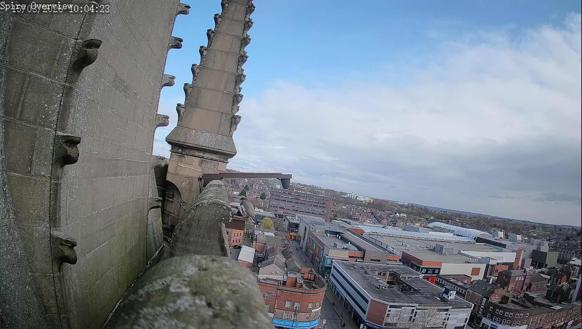 Wakefield City Skyline & Peregrine Life Project Live Cam - Wakefield, West Yorkshire, Yorkshire and the Humber, England, United Kingdom