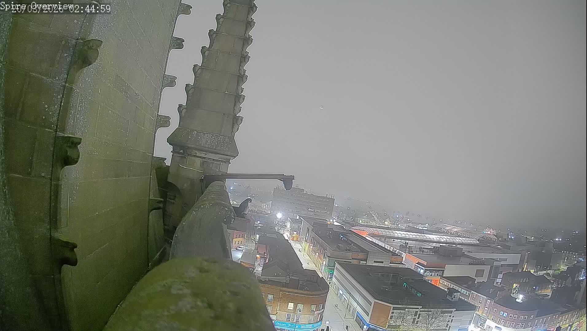 Wakefield City Skyline & Peregrine Life Project Live Cam - Wakefield, West Yorkshire, Yorkshire and the Humber, England, United Kingdom