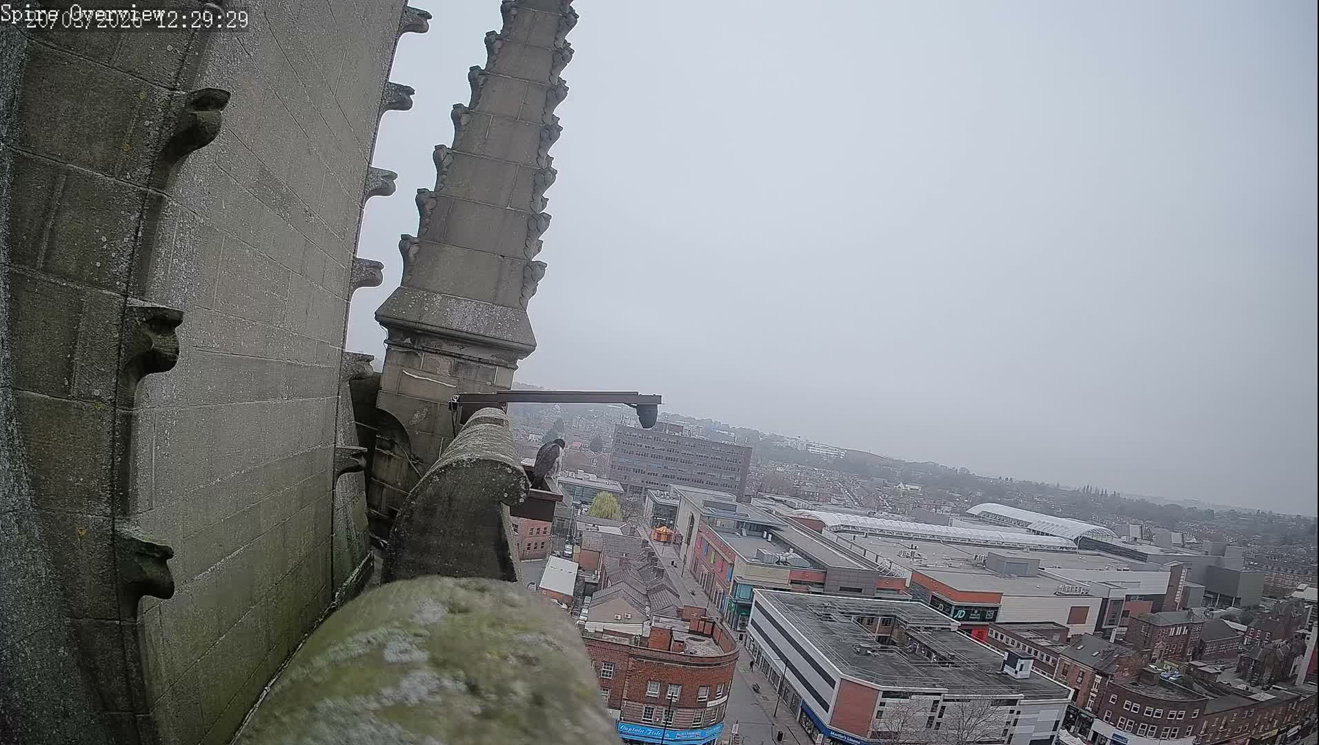 Wakefield City Skyline & Peregrine Life Project Live Cam - Wakefield, West Yorkshire, Yorkshire and the Humber, England, United Kingdom