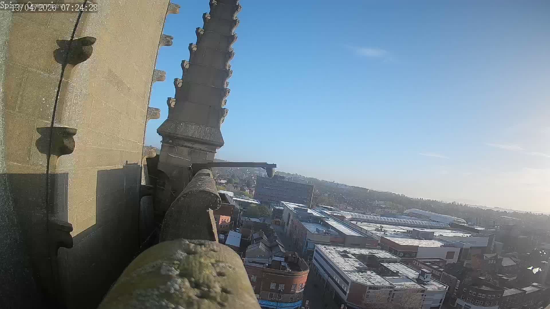 Wakefield City Skyline & Peregrine Life Project Live Cam - Wakefield, West Yorkshire, Yorkshire and the Humber, England, United Kingdom