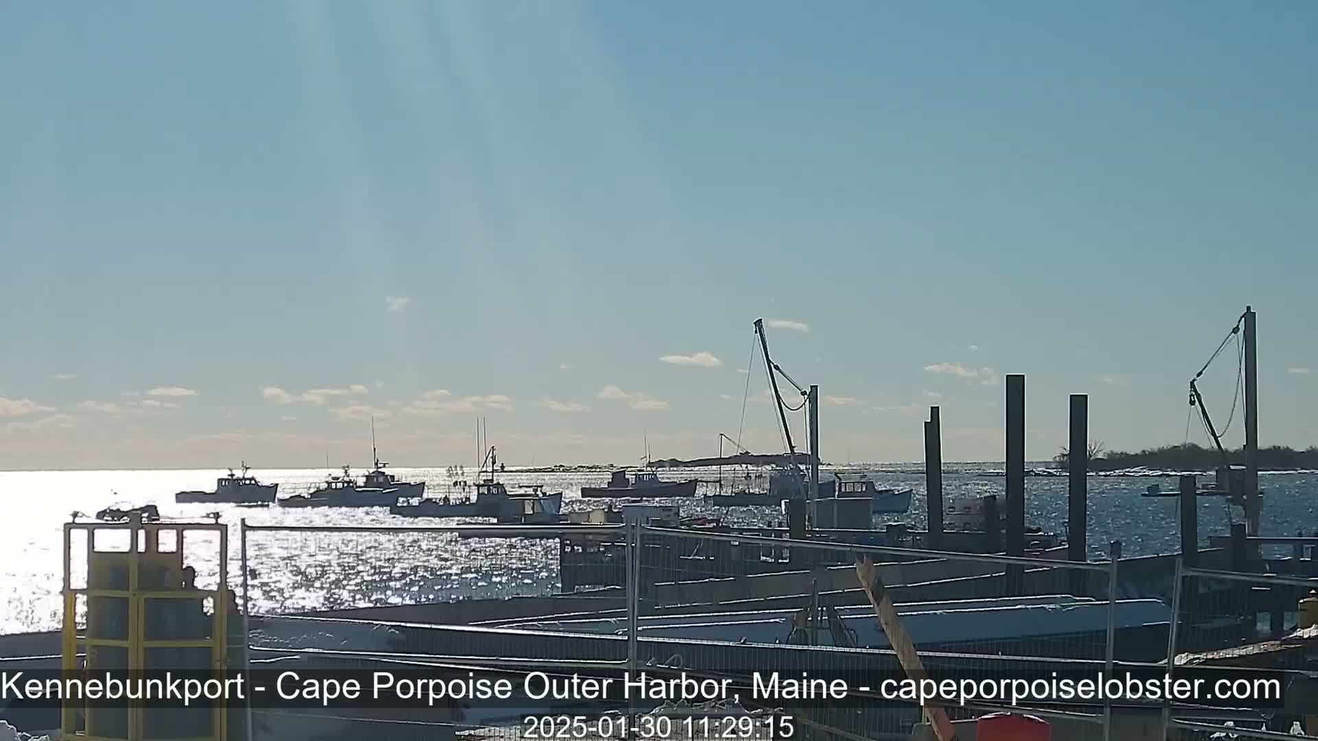 Several fishing boats are moored in a harbor on a sunny day with calm, sparkling water.