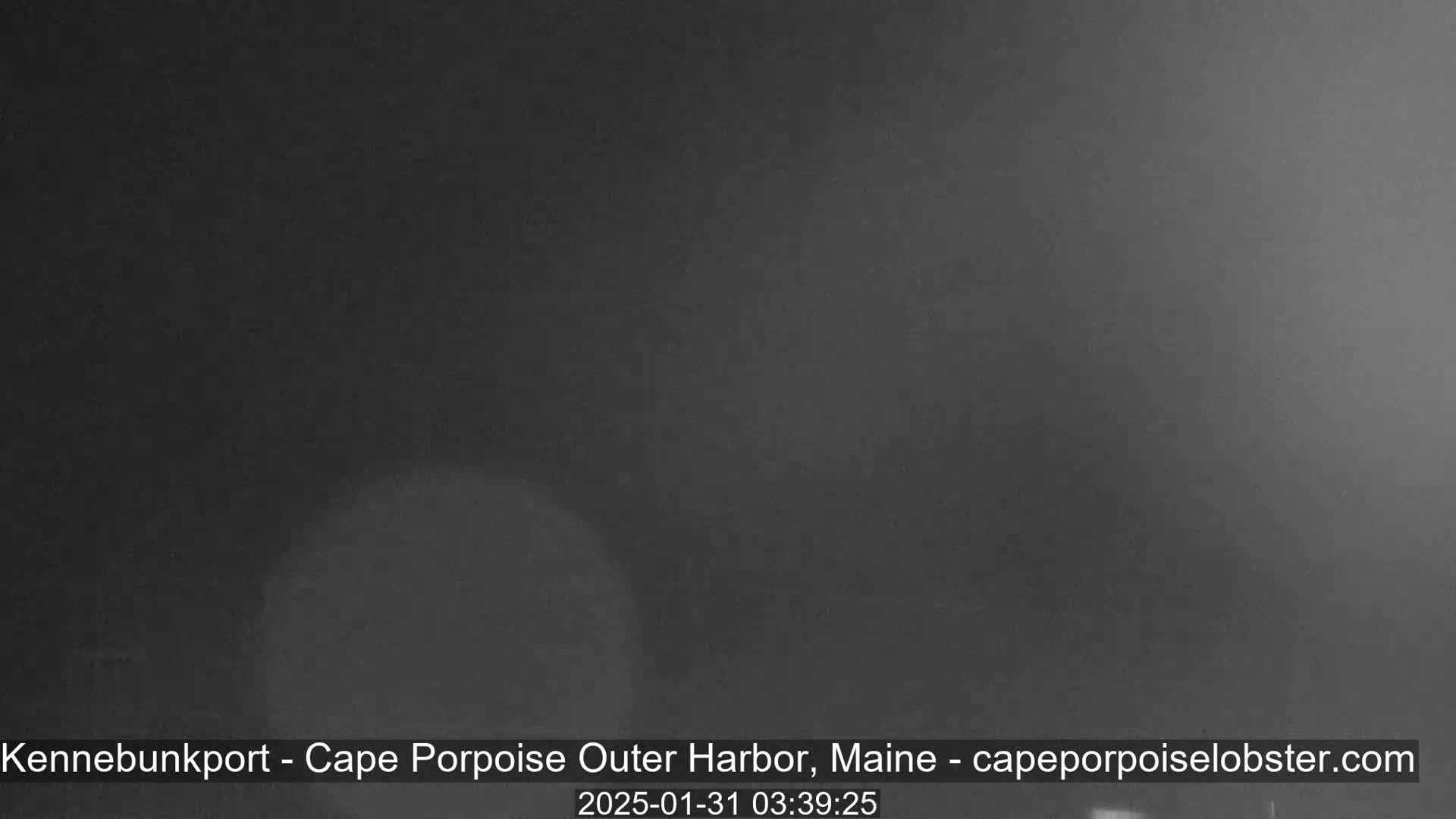 A dark, foggy scene is visible.