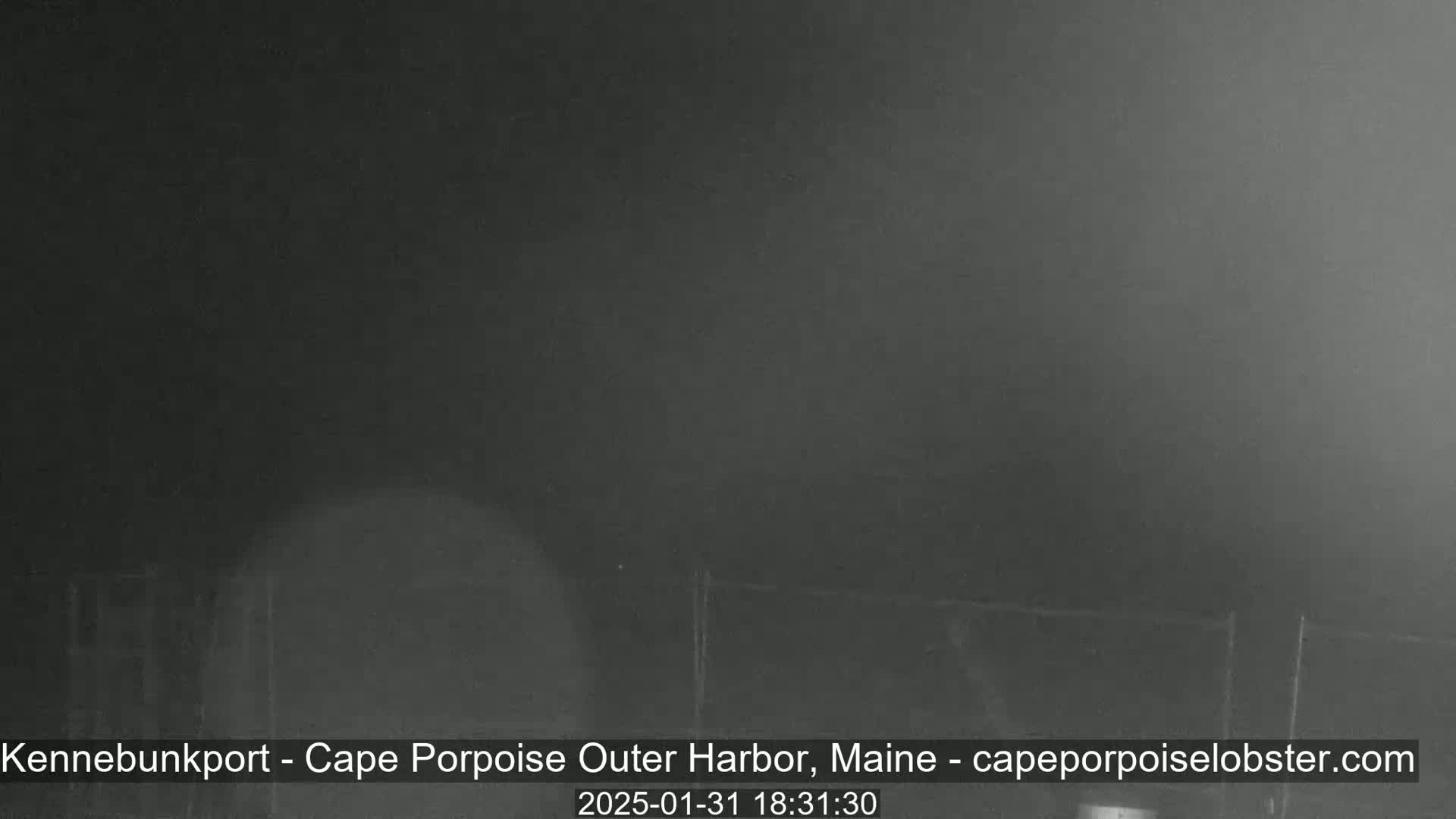 A dark, foggy scene is visible at night, showing a low-light view of an outdoor area with indistinct features.