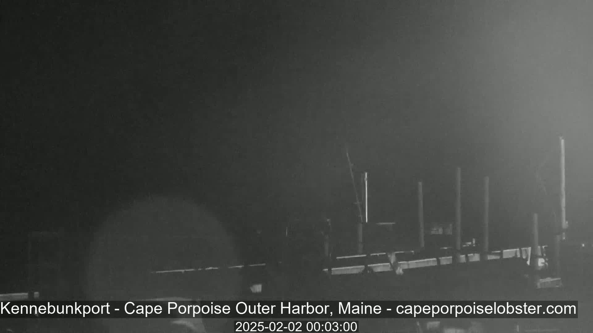 A nighttime, foggy view of a harbor with several posts visible in the water.
