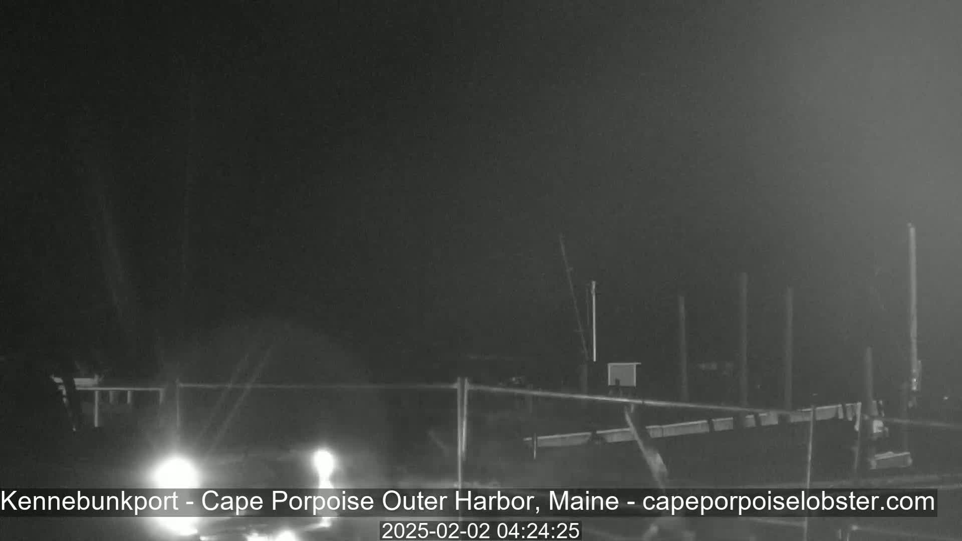 At night, a dimly lit harbor scene shows a fence and some pilings with headlights visible in the foreground.