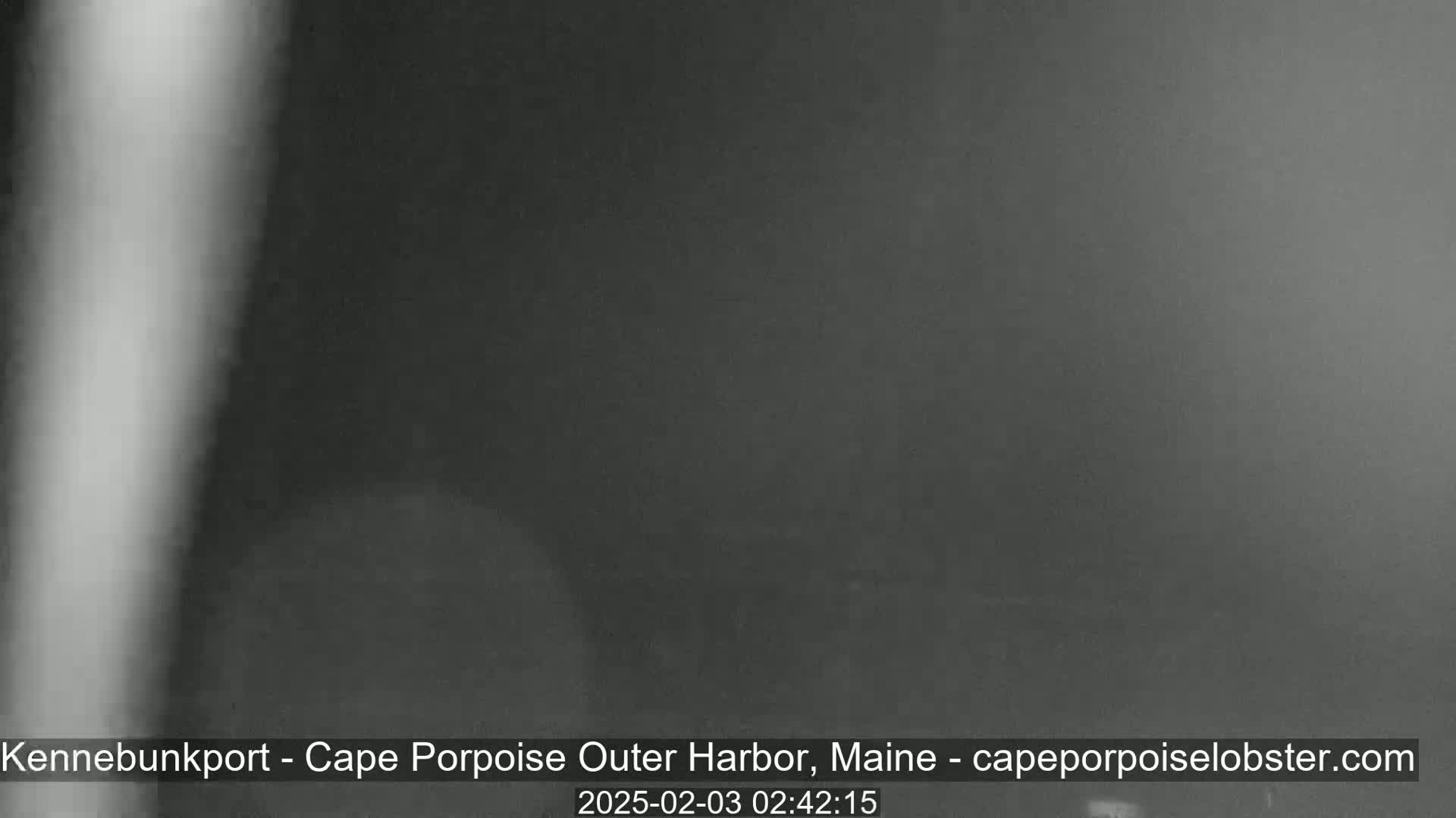 A blurry, dark gray image shows an indistinct outdoor scene at night, possibly obscured by fog or heavy mist.